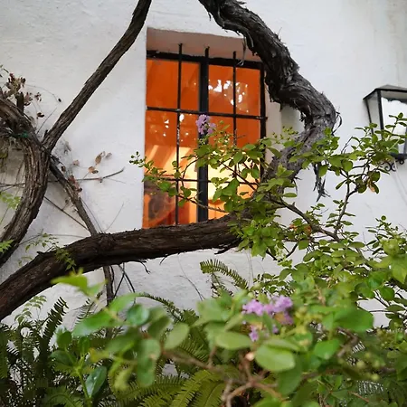 Casa La Noria En Pueblo Mijas